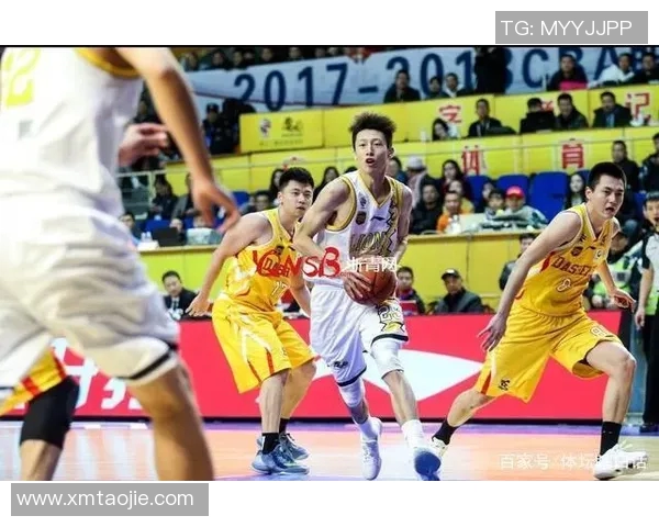 CBA 球员数据与转会市场价值算法模型研究